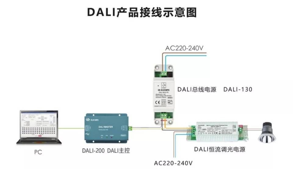DALI{(dio)a(chn)ƷӾʾD